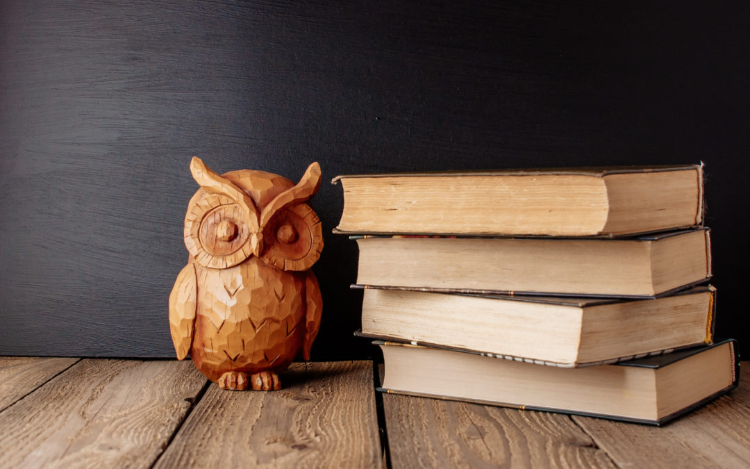 Mangelhafte finanzielle Bildung – neue Studie zeigt gravierende Wissenslücken